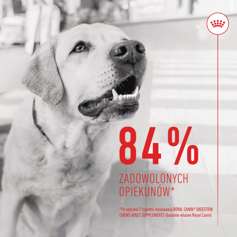 ROYAL CANIN Supplements Dog Digestion Adult - vitamíny pro psa - 160g - Fotogalerie 8