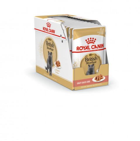 ROYAL CANIN British Shorthair balení 12x85g - Fotogalerie 10