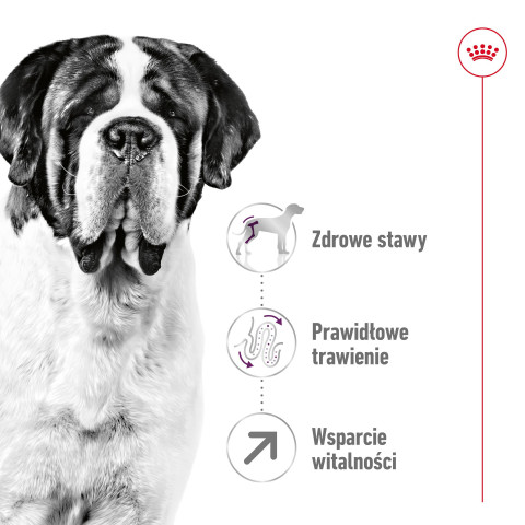 ROYAL CANIN Giant Adult - suché krmivo pro psy - 15 kg - Fotogalerie 9