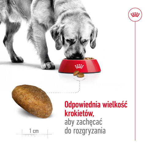 ROYAL CANIN Maxi Adult - suché krmivo pro psy - 15 kg - Fotogalerie 7