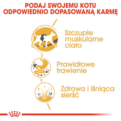 ROYAL CANIN Siamese Adult - suché krmivo pro kočky - 2 kg - Fotogalerie 6