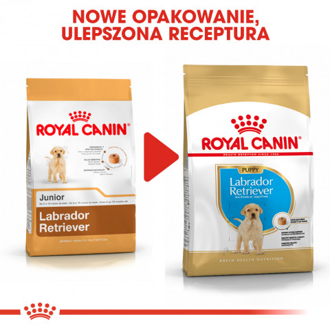 ROYAL CANIN SHN Breed Labrador Junior suché krmivo pro psy - 12 kg. - Fotogalerie 3