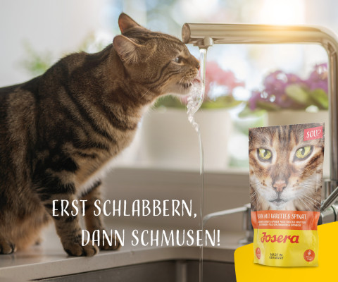 JOSERA Kuřecí polévka s mrkví a špenátem - vlhké krmivo pro kočky - 70 g - Fotogalerie 3