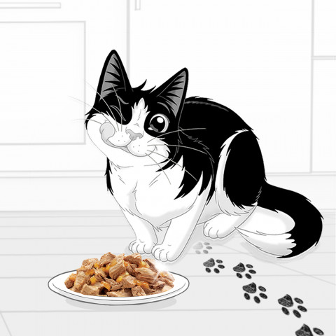 Purina Felix Fantastic rálík v želé - 85g - Fotogalerie 6
