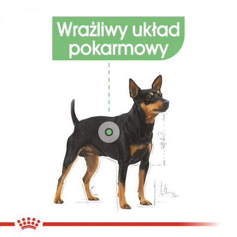 ROYAL CANIN CCN DIGESTIVE CARE LOAF - mokré krmivo pro dospělé psy - 12x85g - Fotogalerie 7