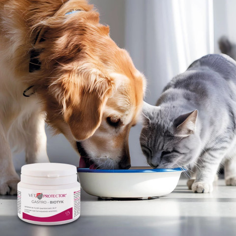 JM SANTE Vet Protector Gastro - Biotyk - multibiotik pro psy a kočky – 60 g - Fotogalerie 2