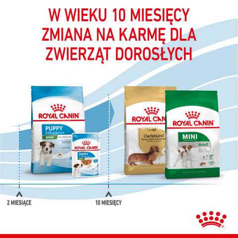 Royal Canin SHN Mini Puppy - suché krmivo pro štěňata - 4kg - Fotogalerie 5