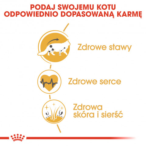 Royal Canin FBN Maine Coon Adult - suché krmivo pro dospělé kočky - 4kg - Fotogalerie 8