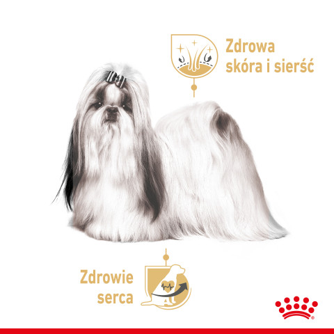 ROYAL CANIN Shih Tzu Adult Mokré krmivo pro psy Paštika 12x85 g - Fotogalerie 8