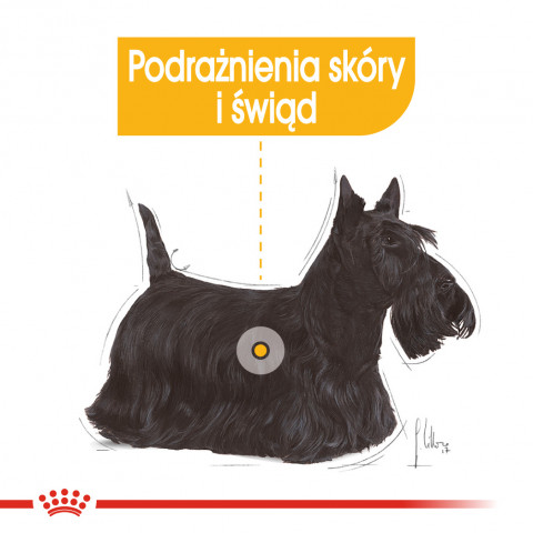ROYAL CANIN Mini Dermacomfort - suché krmivo pro dospělé psy malých plemen s citlivou kůží náchylnou k podráždění - 3kg - Fotogalerie 8