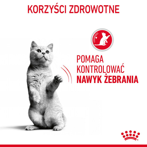 ROYAL CANIN Appetit Control kousky v omáčce - mokré krmivo pro kočky - 12 x 85g - Fotogalerie 9