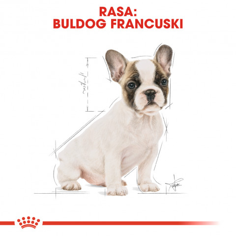 ROYAL CANIN French Bulldog Puppy - suché krmivo pro psy - 3 kg - Fotogalerie 8