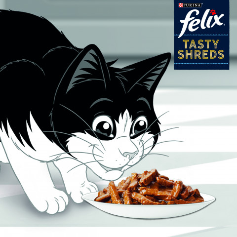 FELIX Tasty Shreds s lososem a tuňákem - 4x 80g - Fotogalerie 4