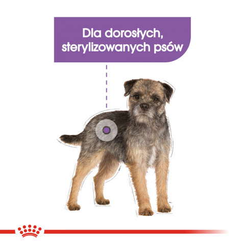 ROYAL CANIN Mini Sterilised - suché krmivo pro dospělé psy malých plemen, po sterilizaci - 1kg - Fotogalerie 8
