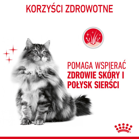 Royal Canin Hair & Skin Care Dospělý jedinec suché krmivo pro kočky 2 kg - Fotogalerie 7