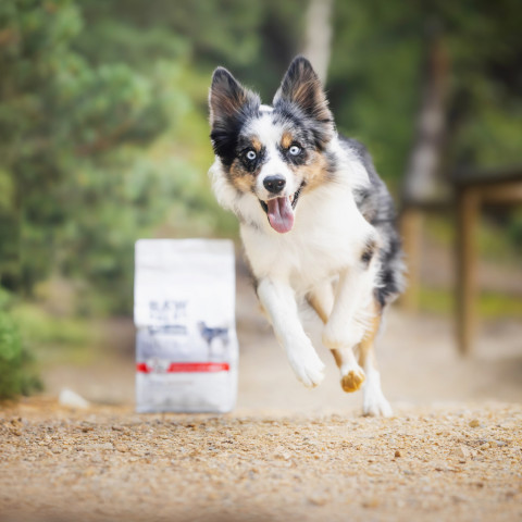 RAW PALEO Ultra Medium&Large Puppy Beef - suché krmivo pro štěňata - 2 kg - Fotogalerie 3