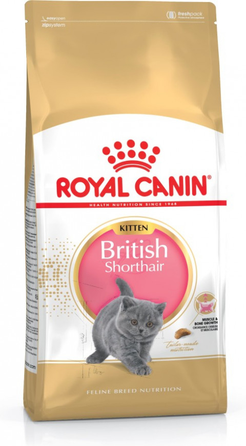Royal Canin British Shorthair Kitten suché krmivo pro kočky 2 kg Kotě Drůbež, Rýže, Zeleninová - Fotogalerie 9