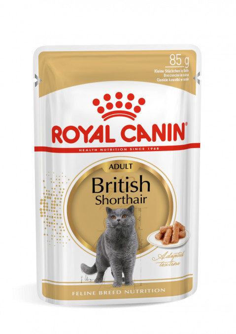 ROYAL CANIN British Shorthair balení 12x85g - Fotogalerie 1
