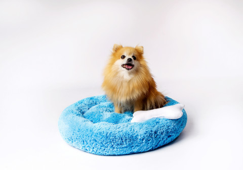 GO GIFT Shaggy blue M - pelíšek pro domácí mazlíčky - 57 x 57 x 10 cm - Fotogalerie 2