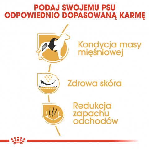 ROYAL CANIN French Bulldog Adult - suché krmivo pro psy - 3 kg - Fotogalerie 6