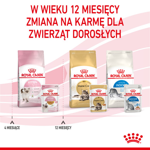Royal Canin FHN Kitten Instinctive v želé - vlhké krmivo pro koťata - 12x85g - Fotogalerie 8