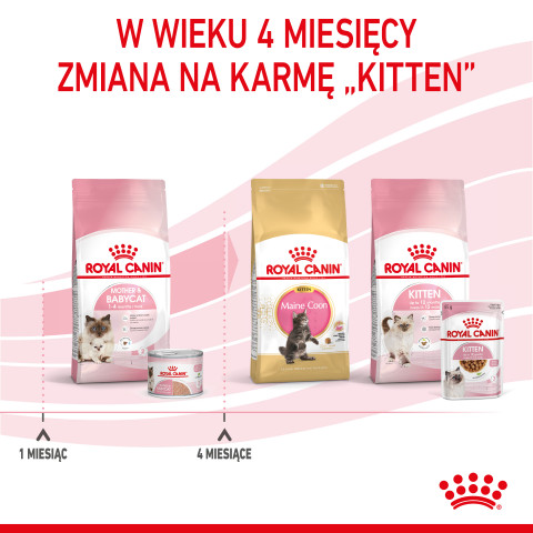 Royal Canin BABYCAT INSTINCTIVE - Mokré krmivo pro kočky - 195 g - Fotogalerie 7