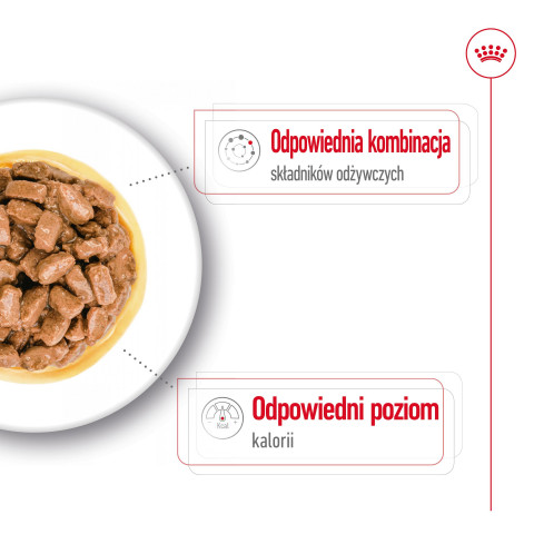 ROYAL CANIN Mini Ageing - mokré krmivo pro psy - 12 x 85g - Fotogalerie 6