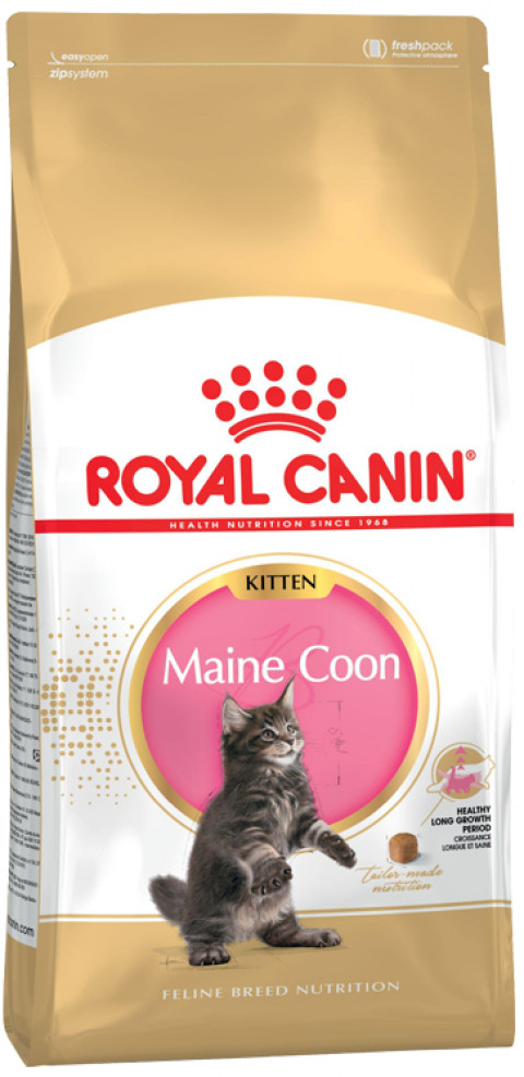 ROYAL CANIN Maine Coon Kitten - suché krmivo pro kočky - 2 kg - Fotogalerie 10