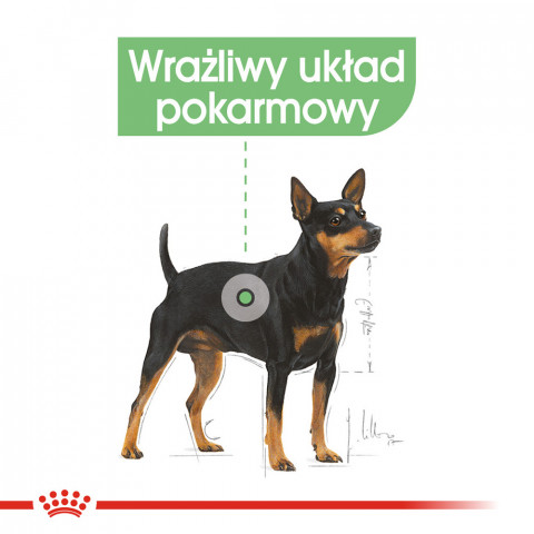 ROYAL CANIN Mini Digestive Care - suché krmivo pro dospělé psy malých plemen - 1kg - Fotogalerie 8