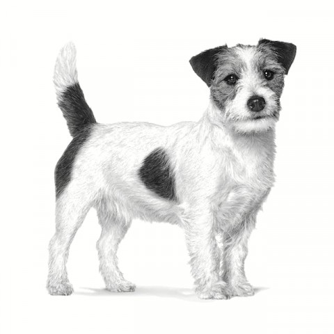 ROYAL CANIN Gastrointestinal Low Fat Small VHN - suché krmivo pro psy - 1,5kg - Fotogalerie 2