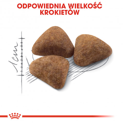 Royal Canin FHN Indoor - suché krmivo pro dospělé kočky - 4kg - Fotogalerie 5