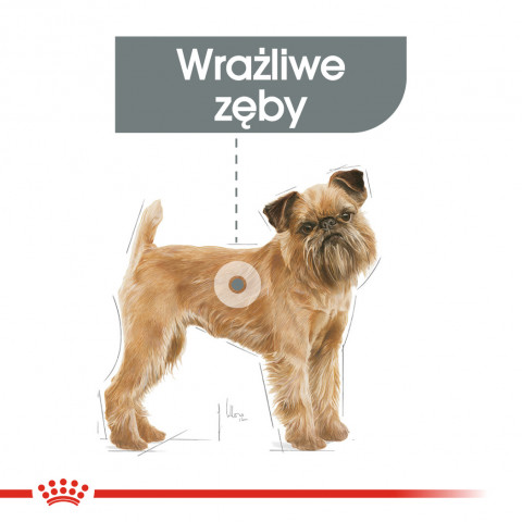 ROYAL CANIN CCN Mini Dental Care - suché krmivo pro dospělé psy - 3kg - Fotogalerie 6