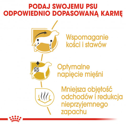 ROYAL CANIN Dachshund Adult - suché krmivo pro psy - 7,5 kg - Fotogalerie 4