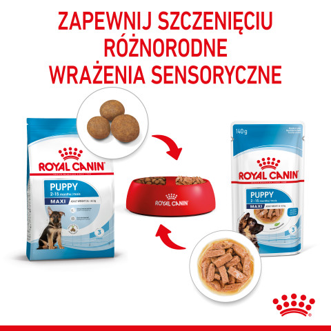 Royal Canin Maxi Puppy 10x140g - Fotogalerie 7