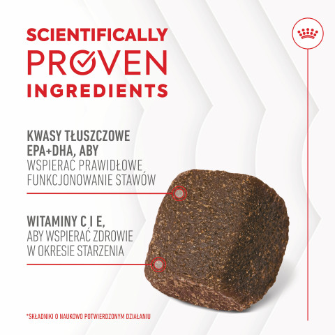 ROYAL CANIN Supplements Dog Joint & Ageing Adult - vitamíny pro psa - 240g - Fotogalerie 12