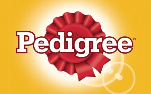PEDIGREE Adult Hovězí ve želé – mokré krmivo pro psy – 24×400 g - Fotogalerie 2