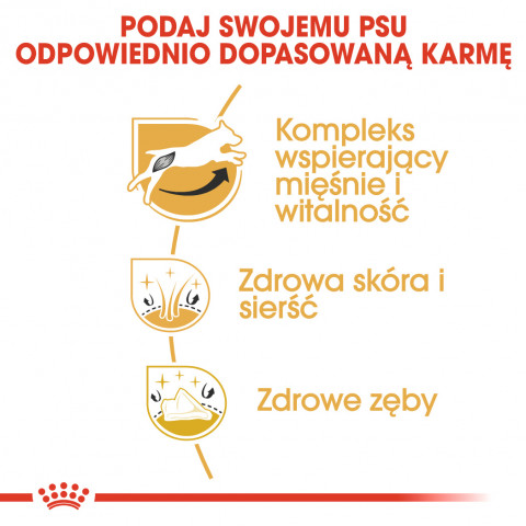 ROYAL CANIN Jack Russell Adult suché krmivo pro psy - 1,5 kg - Fotogalerie 4