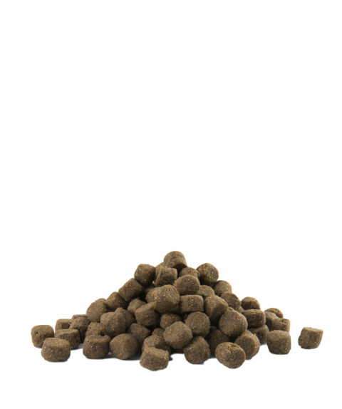 Versele-Laga Adult Digestion Medium & Maxi 12,5 kg Dospělí - Fotogalerie 3