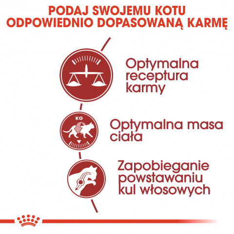 Royal Canin Feline Fit 2kg suché krmivo pro kočky Dospělý jedinec - Fotogalerie 5