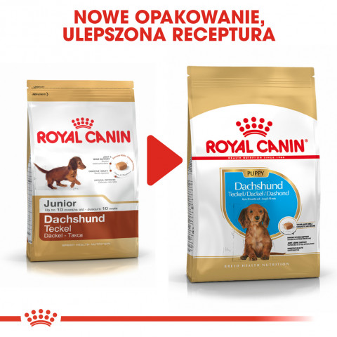 Krmiva Royal Canin SHN Breed Dachshund Jun 1,5 kg - Fotogalerie 3