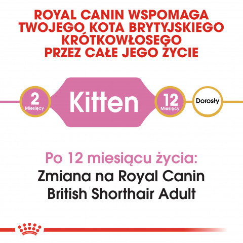 Royal Canin British Shorthair Kitten suché krmivo pro kočky 2 kg Kotě Drůbež, Rýže, Zeleninová - Fotogalerie 6