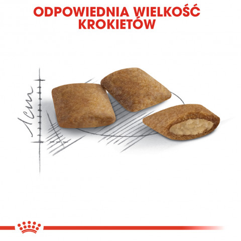 ROYAL CANIN FHN Senior Ageing 12+ - suché krmivo pro kočky - 4 kg - Fotogalerie 4