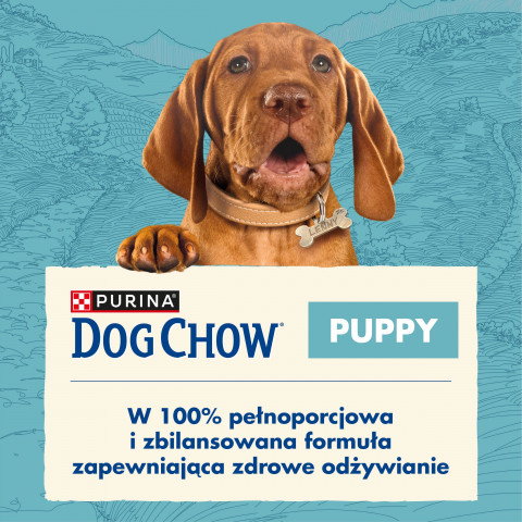 Purina Dog Chow Puppy Lamb 14 kg Štěně - Fotogalerie 7