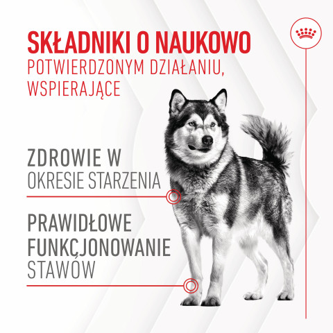 ROYAL CANIN Supplements Dog Joint & Ageing Adult - vitamíny pro psa - 240g - Fotogalerie 9