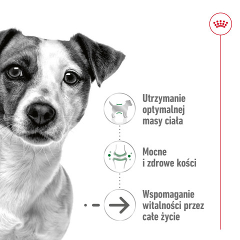 ROYAL CANIN Mini Ageing - mokré krmivo pro psy - 12 x 85g - Fotogalerie 4
