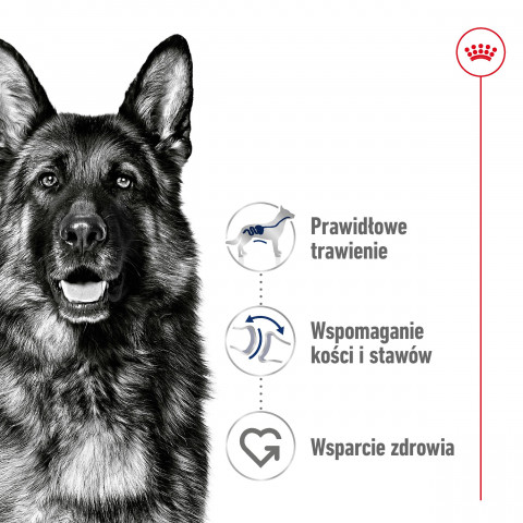 ROYAL CANIN Maxi Adult - suché krmivo pro psy - 15 kg - Fotogalerie 2