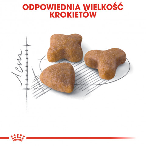 ROYAL CANIN Sensible - suché krmivo pro kočky - 2 kg - Fotogalerie 5