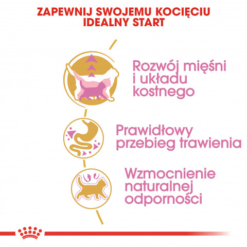 Royal Canin British Shorthair Kitten suché krmivo pro kočky 2 kg Kotě Drůbež, Rýže, Zeleninová - Fotogalerie 5