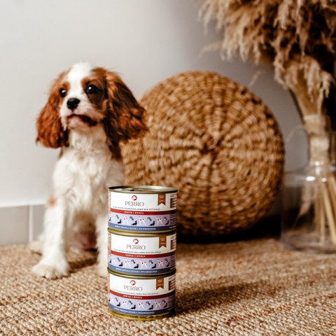 PERRO Junior Turkey and pumpkin - mokré krmivo pro psy - 850g - Fotogalerie 4