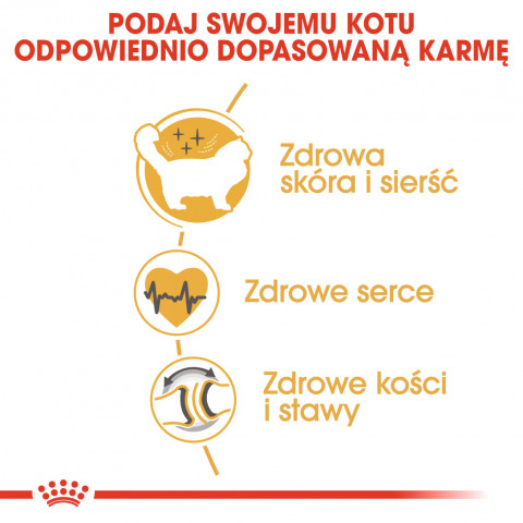 Royal Canin FBN Ragdoll Adult suché krmivo pro kočky 2 kg - Fotogalerie 6